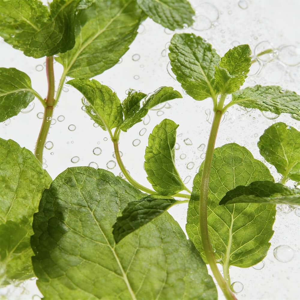 Peptidi MentaVita – Peptide Peppermint Deodorant