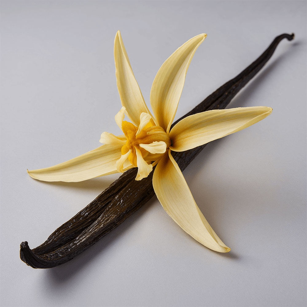 Velluto di Luce (Protect Cream)