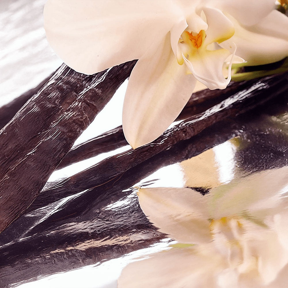 Velluto di Luce (Tallow Cream)